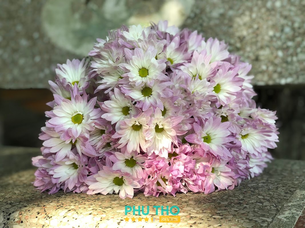 Công ty TNHH thương mại và xây lắp Phú An Vĩnh Phúc