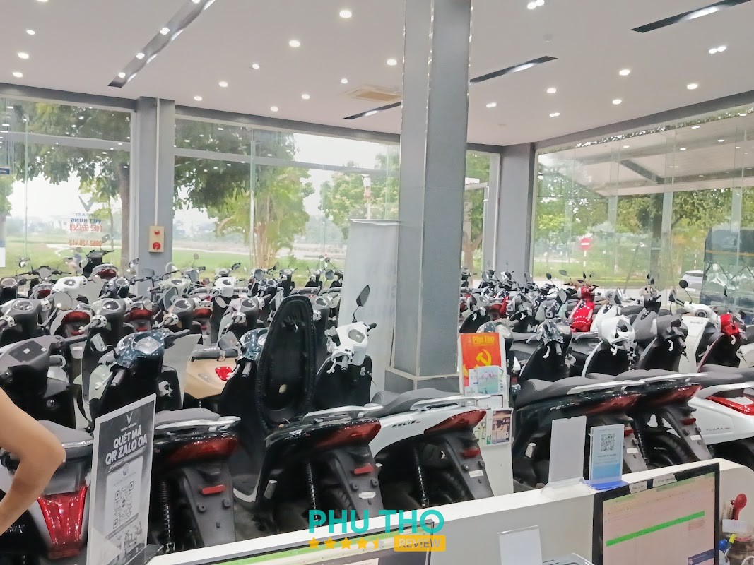 VinFast Việt Hùng – hình 2