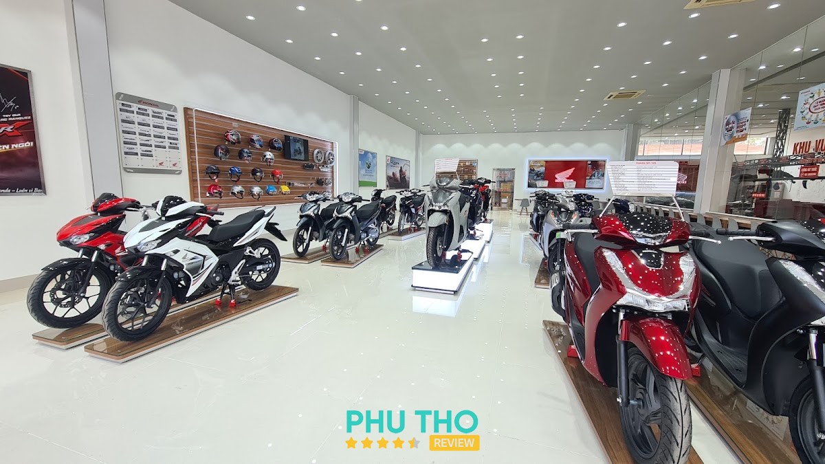 HEAD Vĩnh Phúc Trading – hình ảnh 2