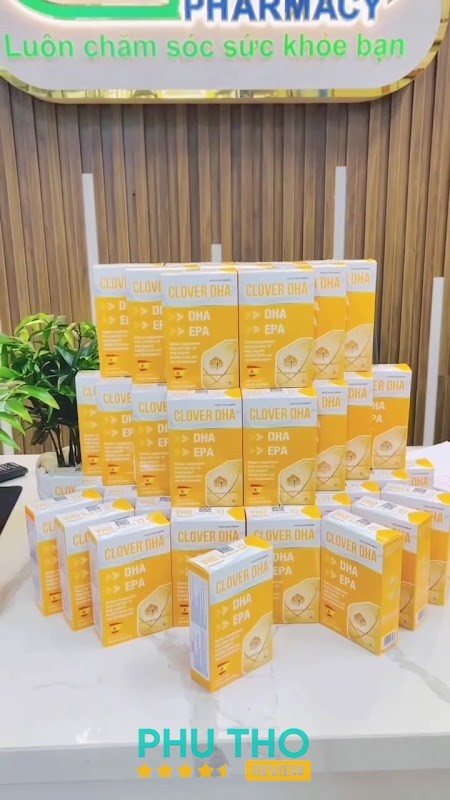 NHÀ THUỐC TÂY BẮC – hình ảnh 2
