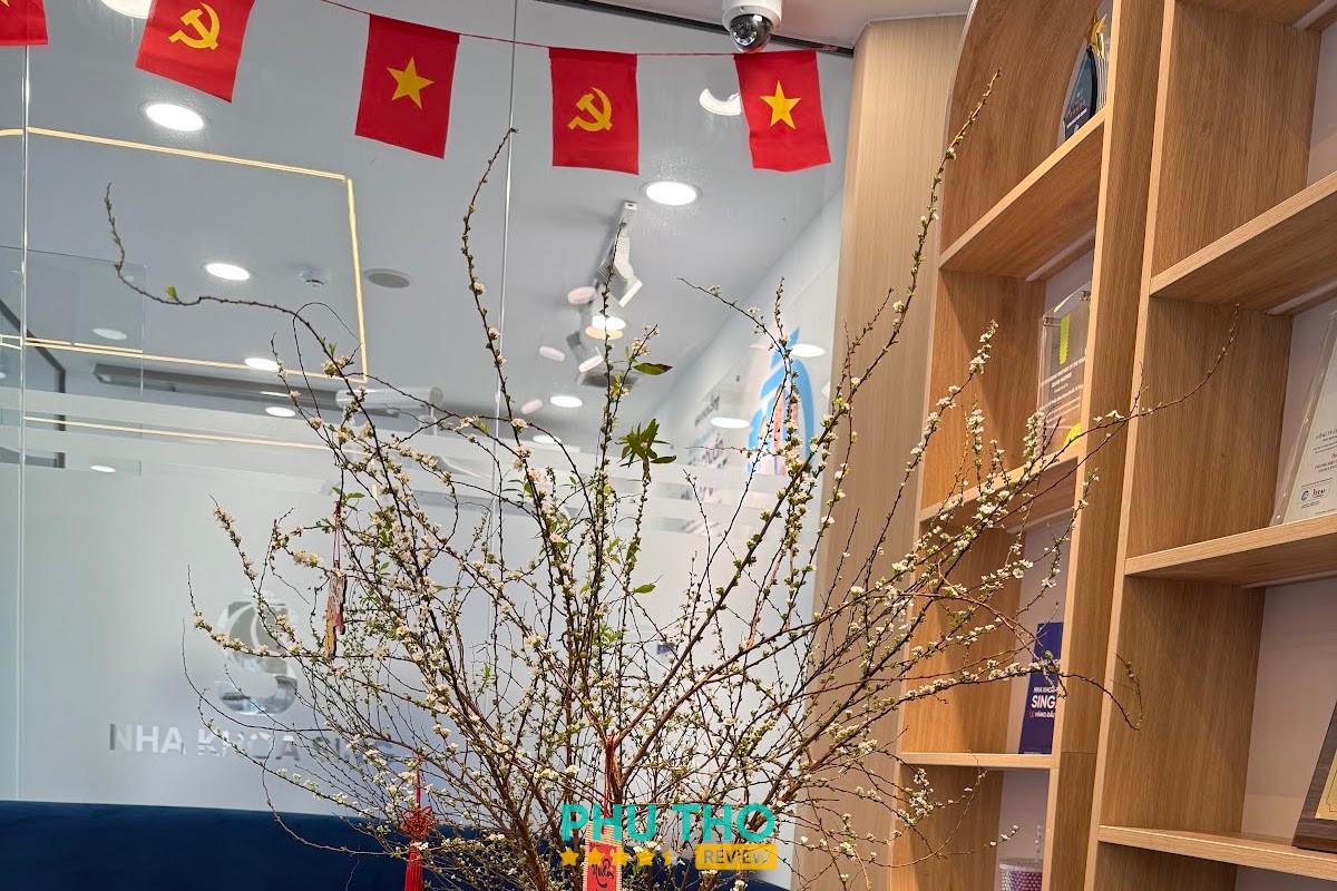 Nha Khoa Sing Việt Trì – hình ảnh 3