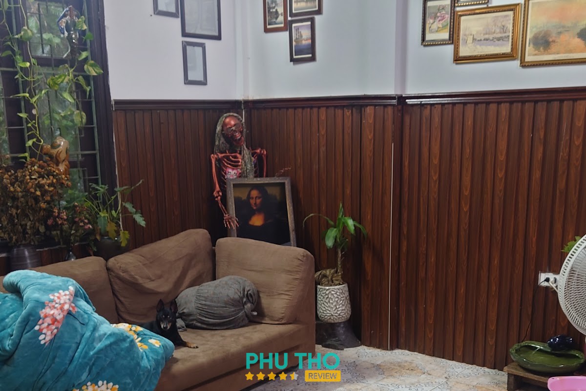 Phòng khám thú y ANPET Việt Trì