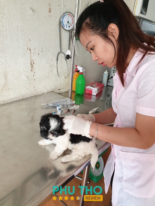 Phòng Khám Thú Y Funpet Việt Trì