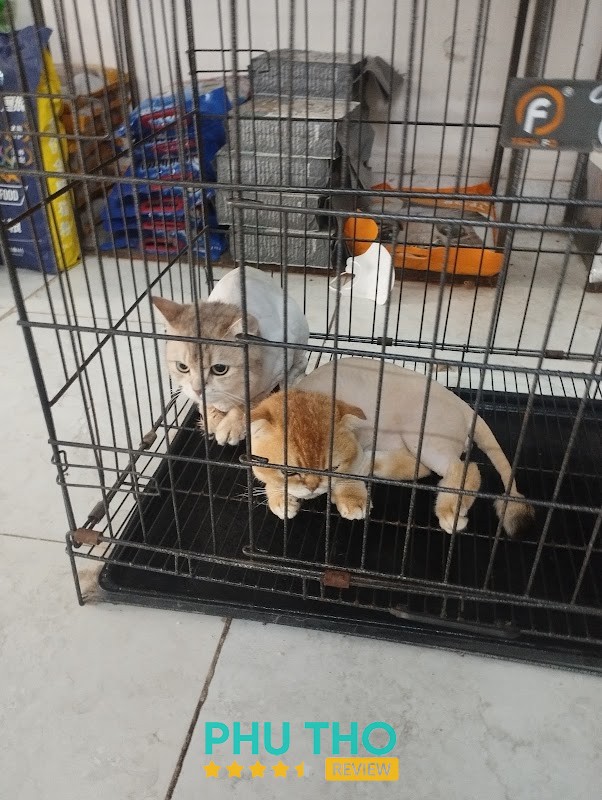 Phòng Khám Thú Y Nguyễn Quang