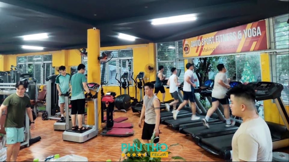 David Sport Fitness & Yoga