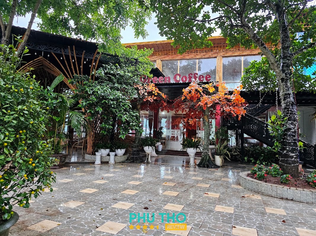 Green Coffee – hình ảnh 3