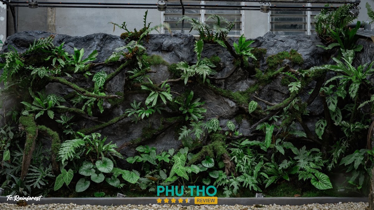 CAFICT COFFE & MATCHA – hình ảnh 2