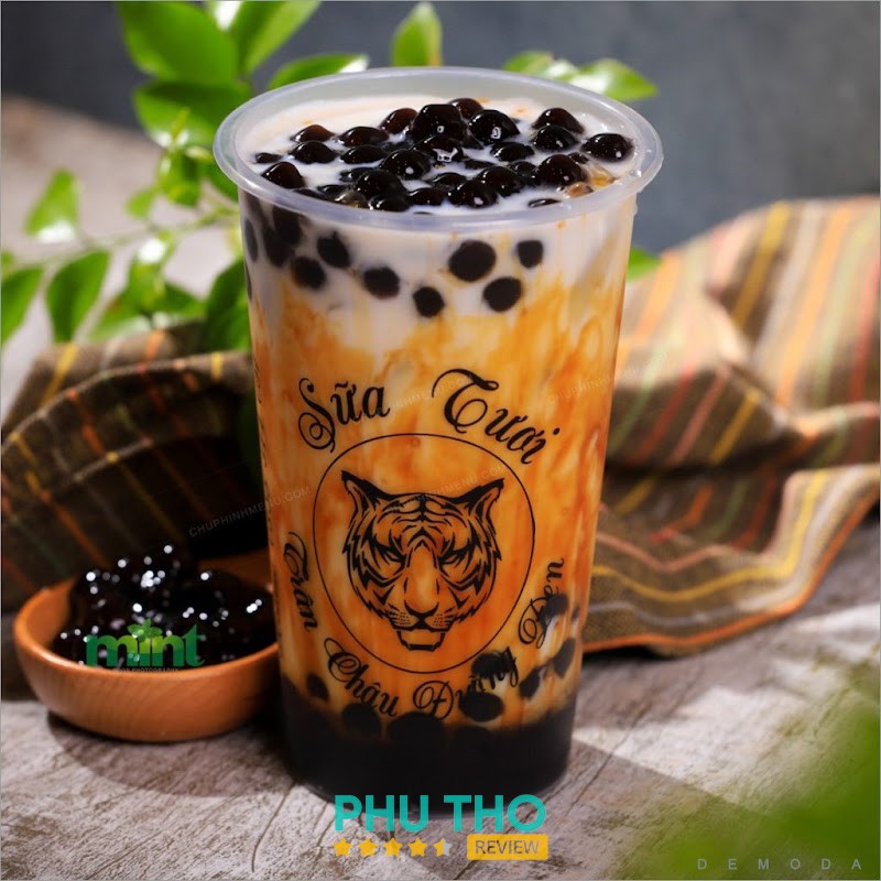 Khánh chinh – hình ảnh 1