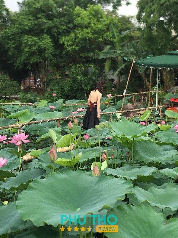 SEN Tam Dương