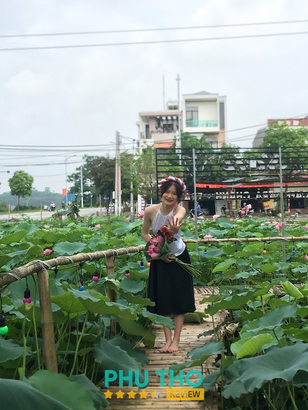 SEN – hình ảnh 2