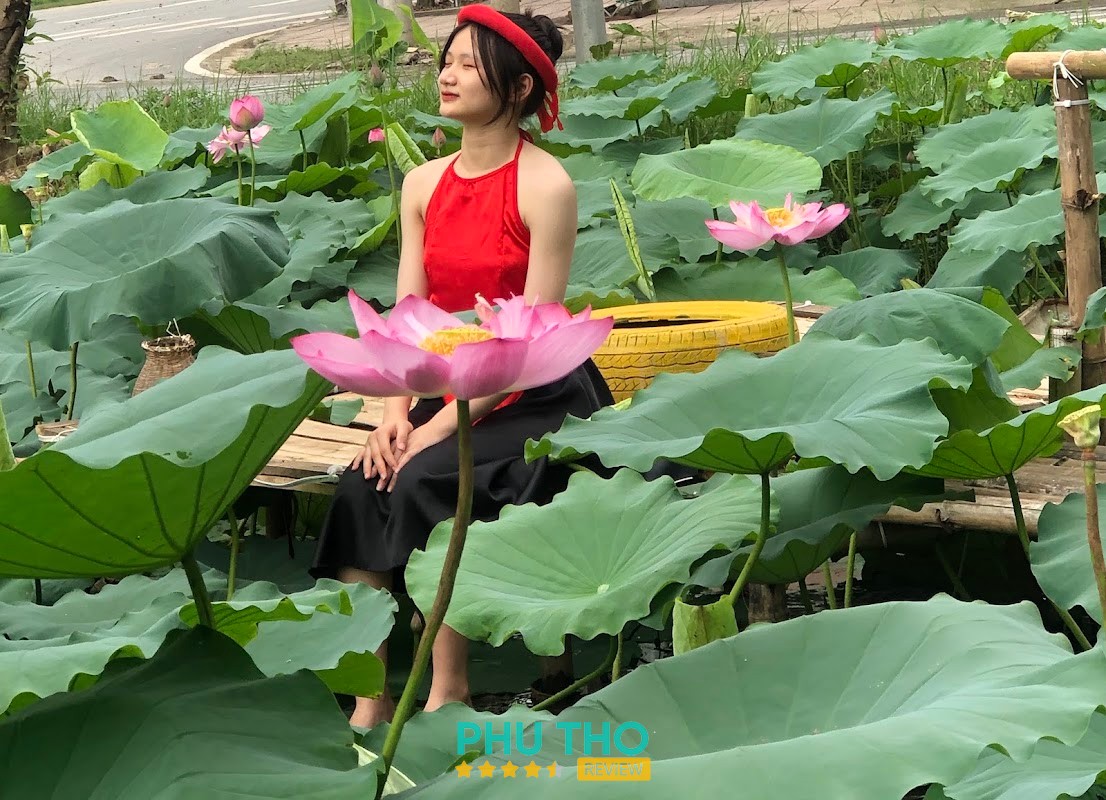 SEN – hình ảnh 3