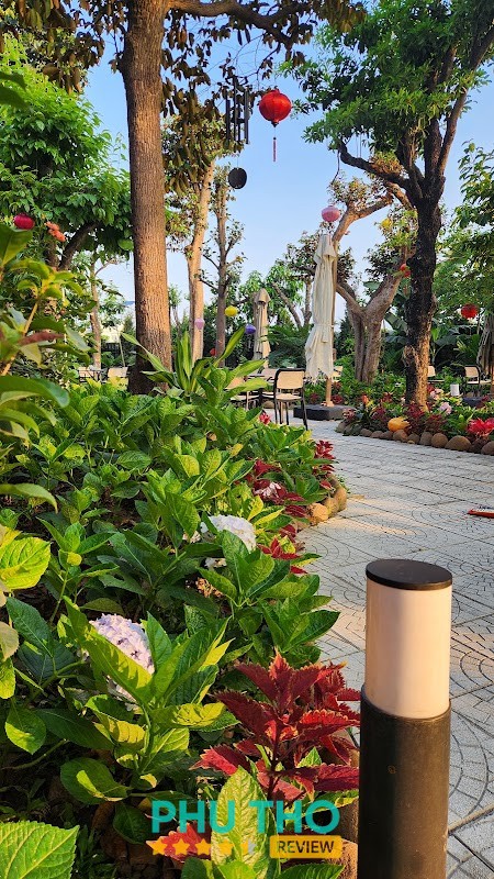 Mít Cafe – hình ảnh 2