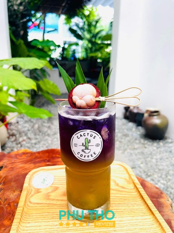 Cactus Phan Chu Trinh – hình ảnh 2