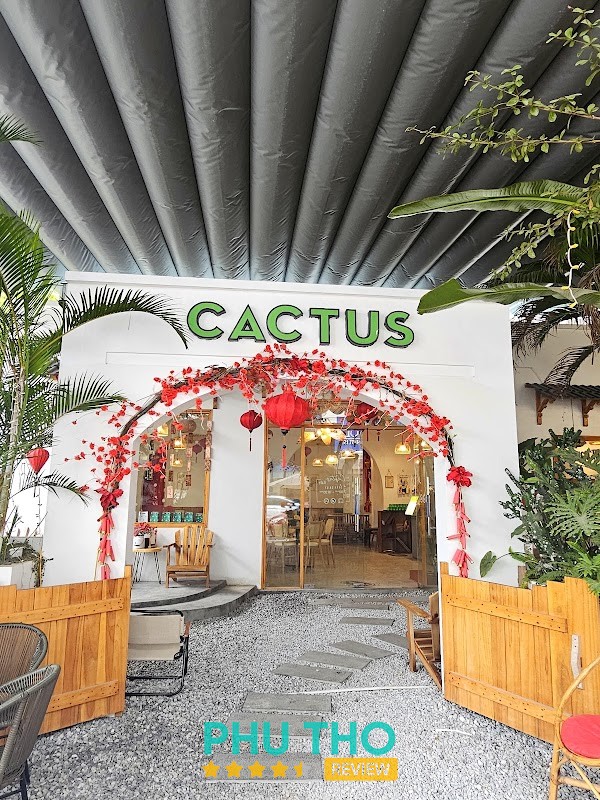 Cactus Phan Chu Trinh – hình ảnh 3