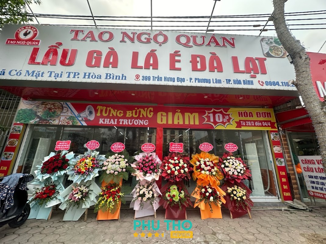 Lẩu Gà Lá É Tao Ngộ Quán Hòa Bình