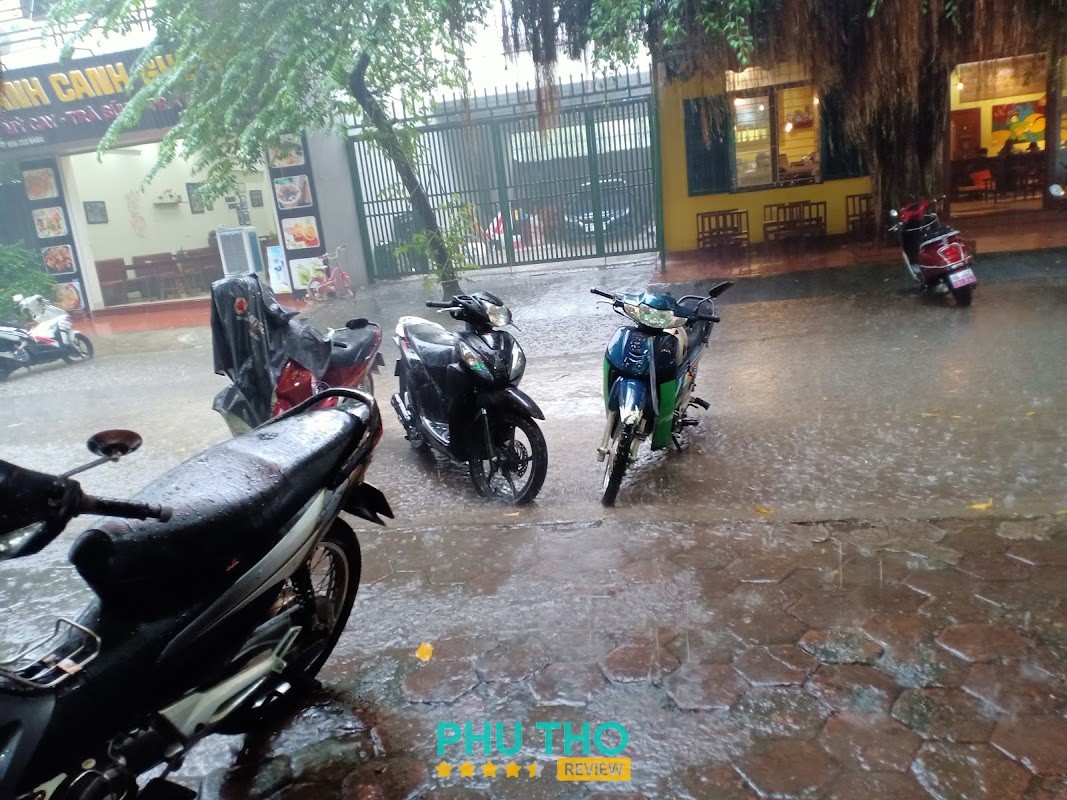 Long Bình Quán Gà Chọi Lẩu Ếch – hình ảnh 3