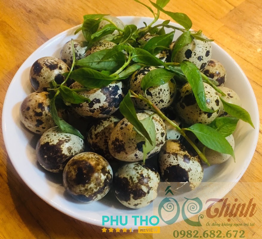 Ốc Thịnh trưởng thôn - hình ảnh 2