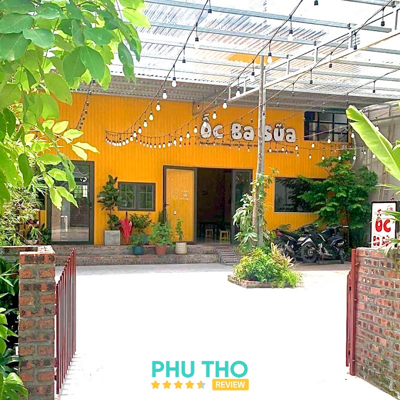 Ốc Ba Sữa Vĩnh Phúc