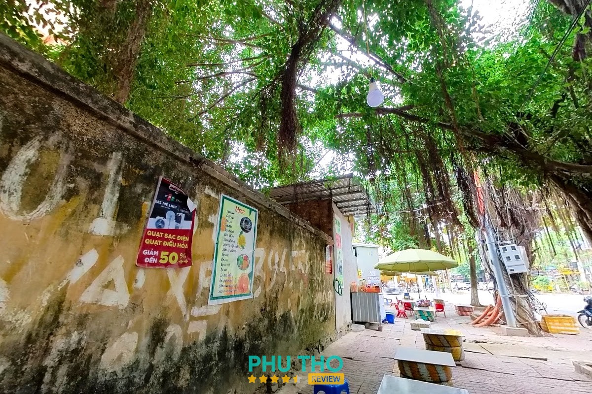 Phở Phúc hình ảnh 2