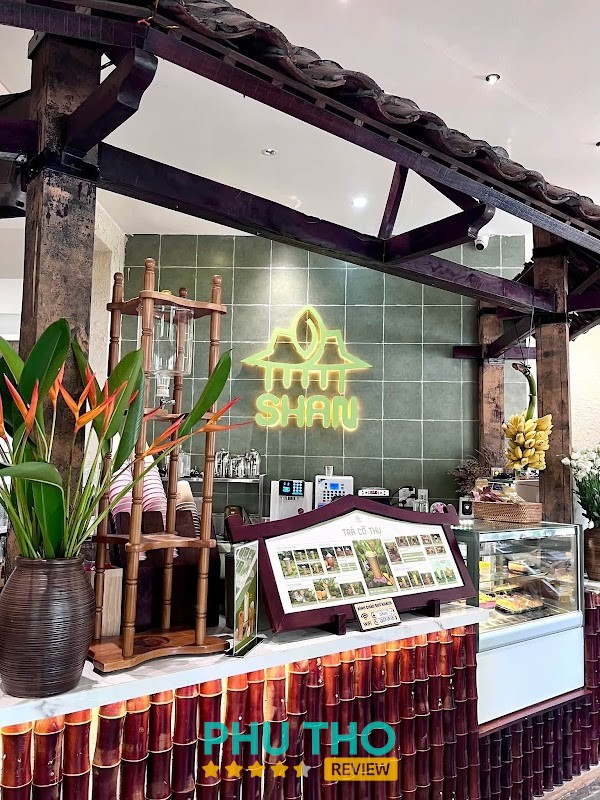 Shan - Trà Cổ Thụ Vĩnh Phúc