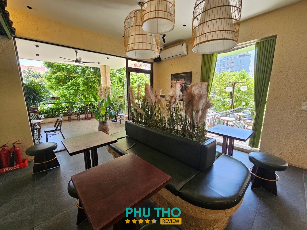 Shan - Trà Cổ Thụ Vĩnh Phúc – hình ảnh 2