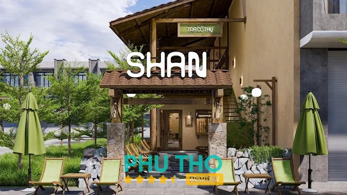Shan – Trà Cổ Thụ Việt Trì