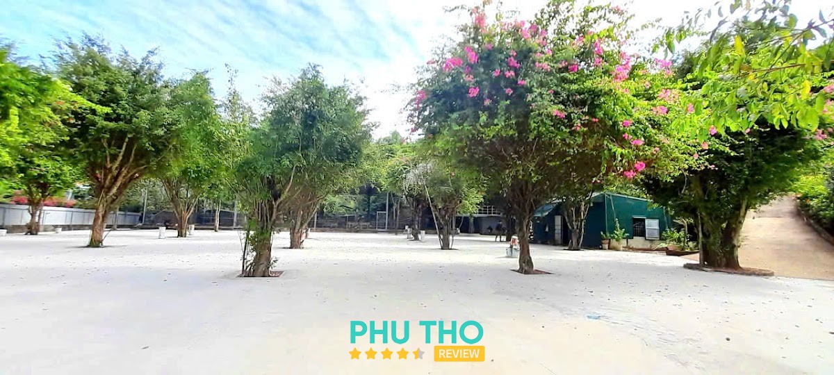 Pickleball Minh Anh Hòa Bình