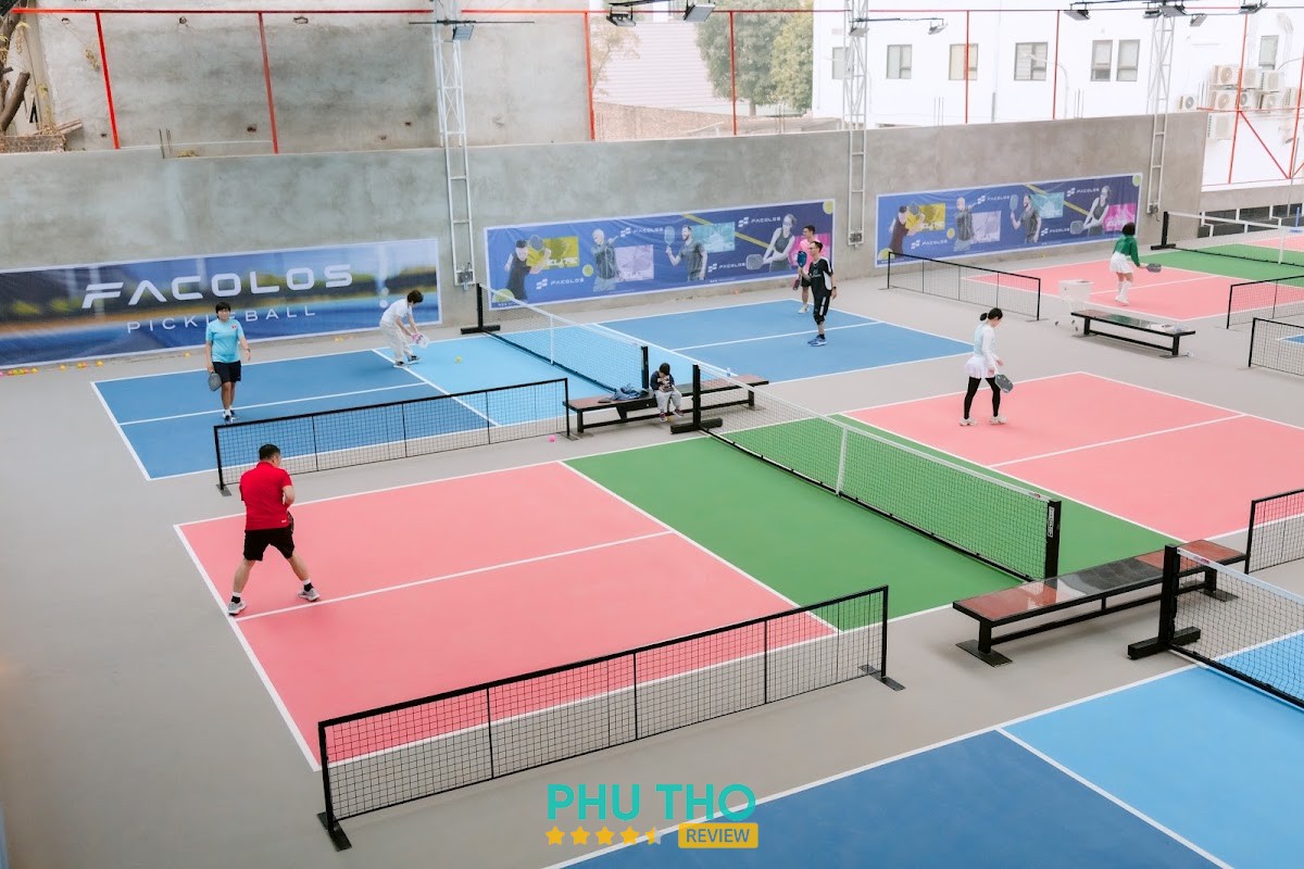 Sky pickleball