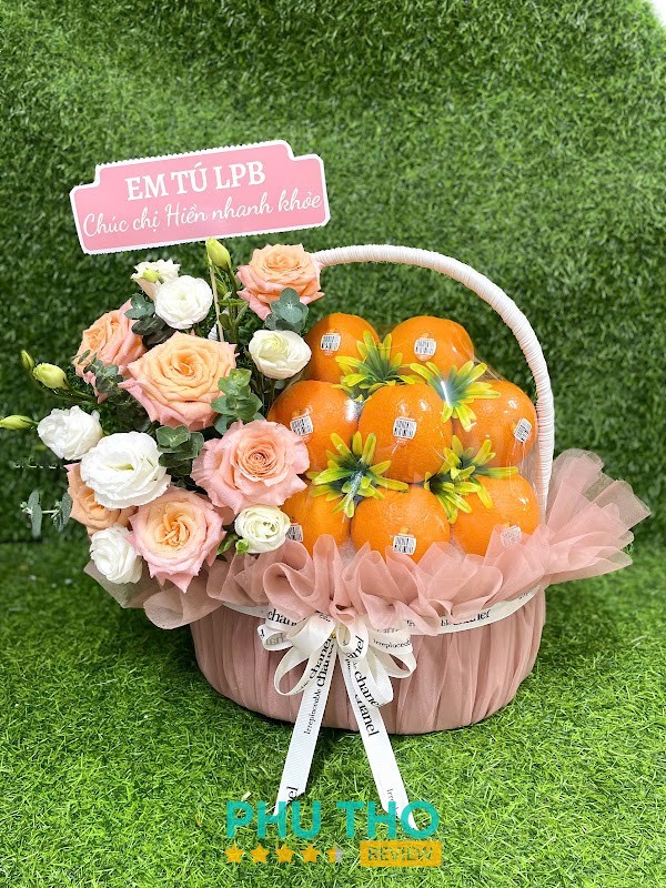 Nhà Đảm cửa hàng hoa quả nhập khẩu Phú Thọ