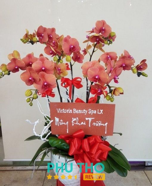 Shop Hoa Tươi Thổ Tang – hình ảnh 2