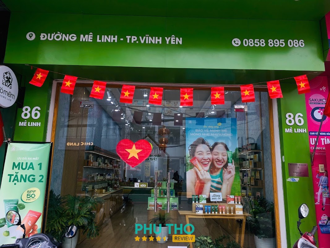 Cỏ Mềm HomeLab Vĩnh Phúc