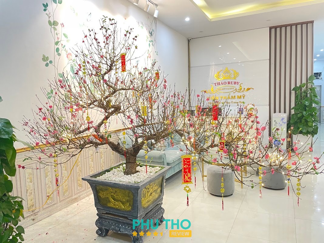 Viện thẩm mỹ Thảo Ruby – hình ảnh 3