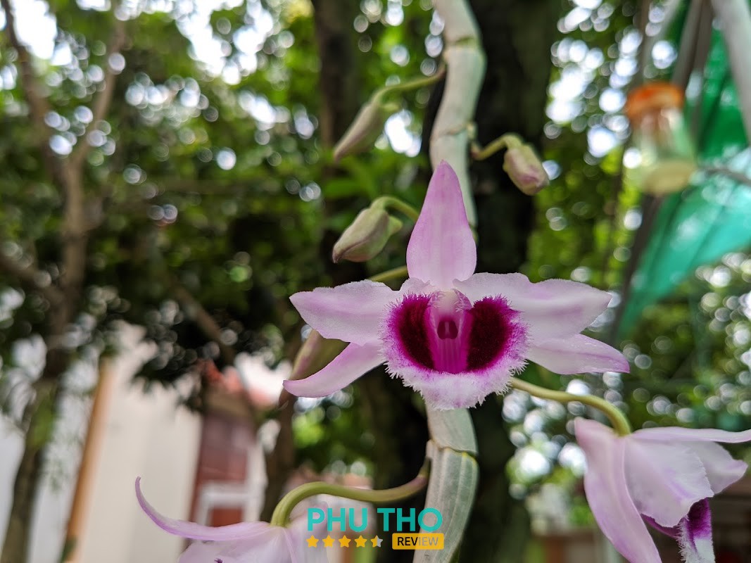 Trường Mầm Non Hội Hợp B Vĩnh Yên